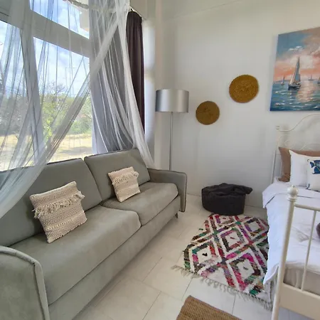 Spacious House Theológos