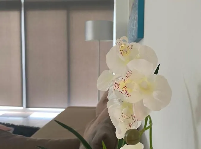 Spacious House * Theológos