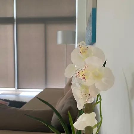 Spacious House * Theológos